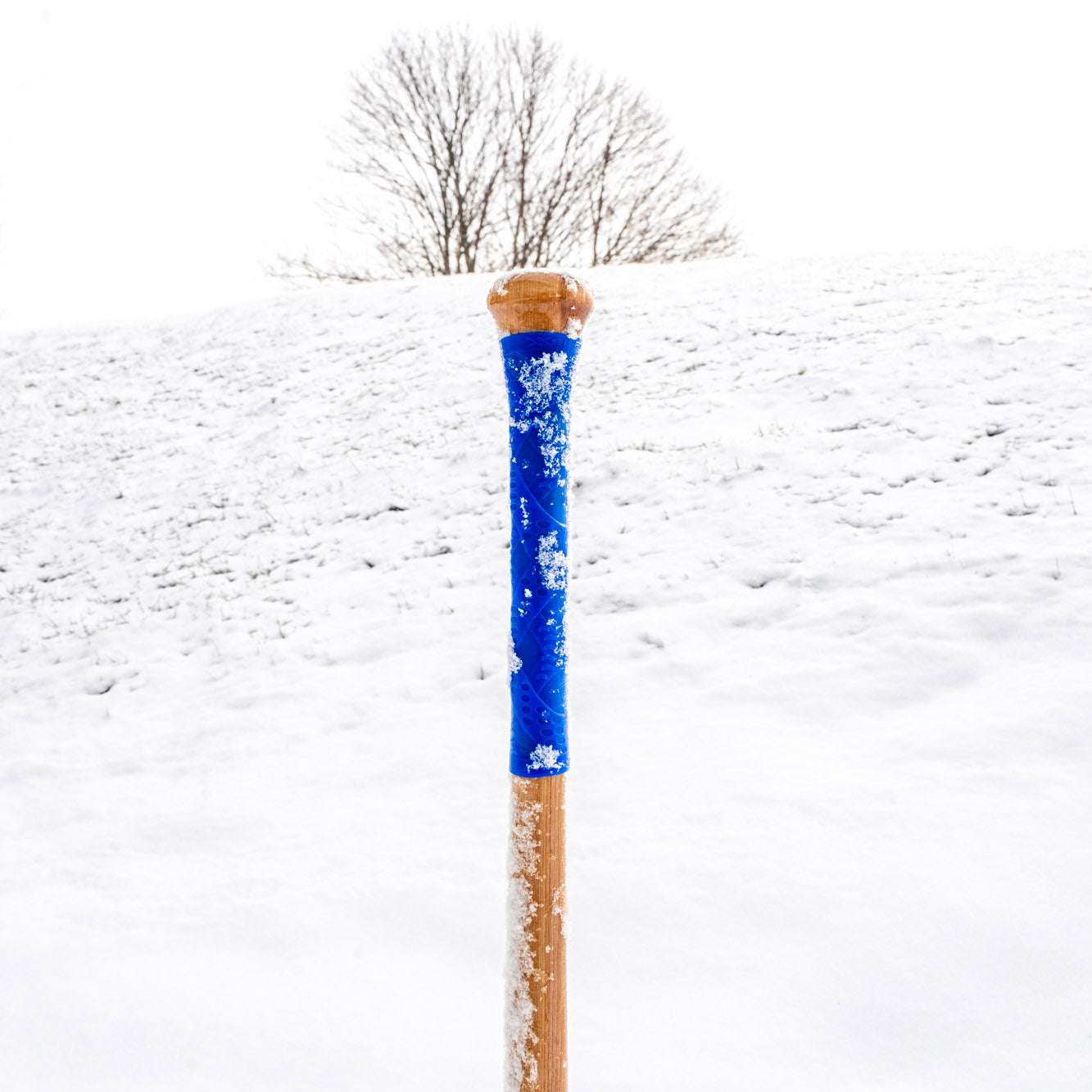 Xseries - 5" - Team Pack